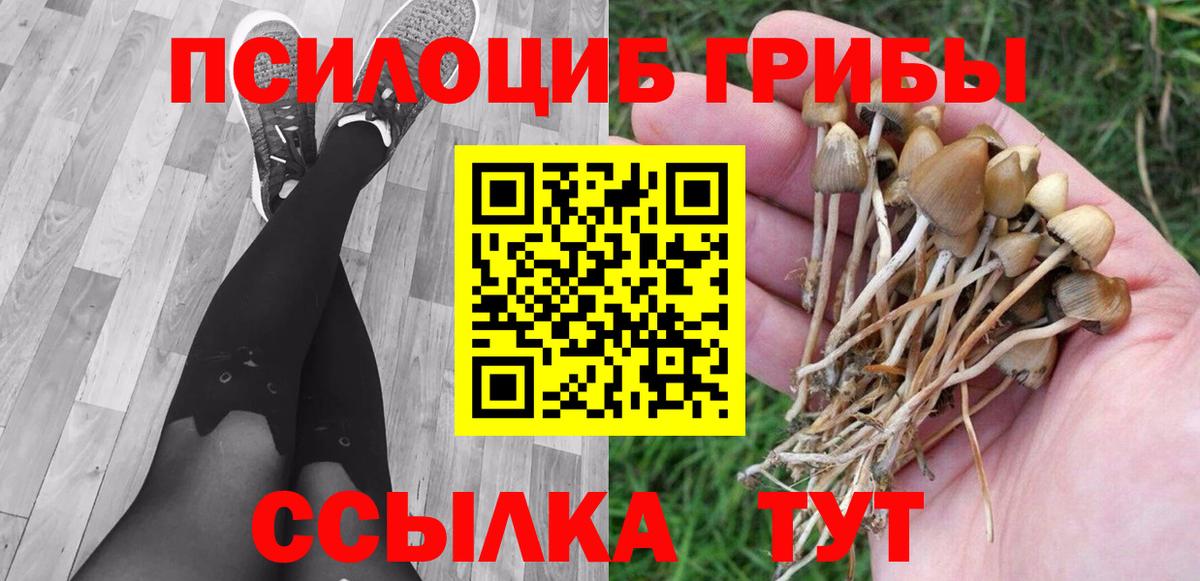 Галлюциногенные грибы мицелий  Псилоцибиновые грибы мицелий  Гулькевичи  Вход с VPN 